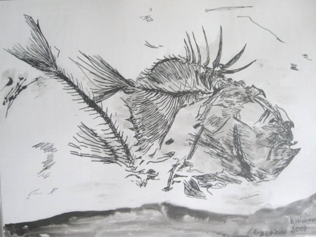 Edward Noniewicz - Inne prace - rysunki - 9 / 134 - Skamieniała ryba