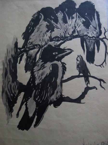 Edward Noniewicz - Inne prace - rysunki - 97 / 134 - Ptaki (1962)