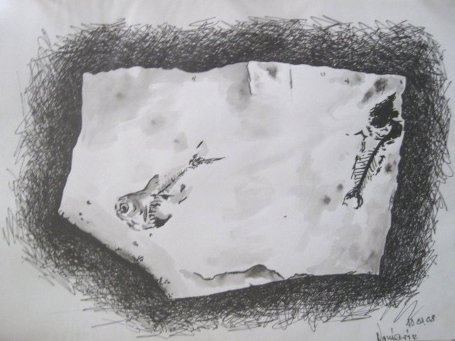 Edward Noniewicz - Inne prace - rysunki - 12 / 134 - Skamieniała ryba