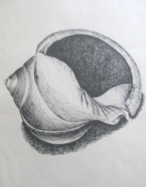 Edward Noniewicz - Inne prace - rysunki - 67 / 134 - 