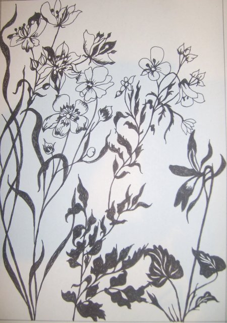 Edward Noniewicz - Inne prace - rysunki - 107 / 134 - Kwiaty